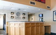 ล็อบบี้ 4 Comfort Inn & Suites Sturbridge - Brimfield