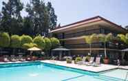 Swimming Pool 6 Palm Garden Hotel