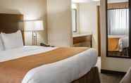 Phòng ngủ 7 Comfort Inn & Suites