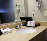 In-room Bathroom 7 Days Inn & Suites by Wyndham Bloomington/Normal IL