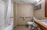 In-room Bathroom 7 Comfort Inn & Suites near Danville Mall