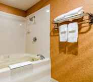 Bilik Mandi dalam Bilik 3 Quality Inn Eureka Springs South