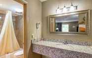 In-room Bathroom 3 Econo Lodge Lynchburg South