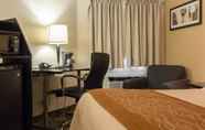 Bedroom 2 Comfort Inn Winnipeg Airport