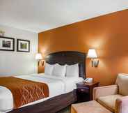 Bedroom 4 Comfort Inn & Suites Somerset - New Brunswick