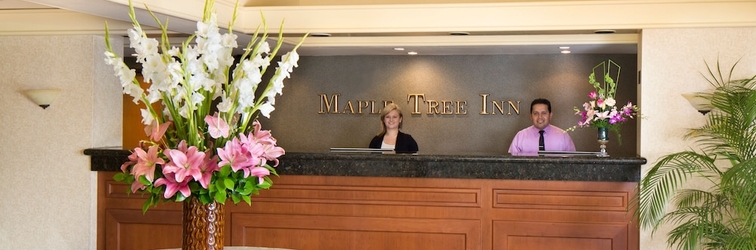 Lobby Maple Tree Inn