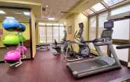 Fitness Center 7 TownePlace Suites by Marriott Windsor