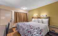 ห้องนอน 5 Red Roof Inn Kalamazoo West - Western Michigan U