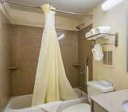 In-room Bathroom 2 Quality Inn & Suites Greenville - Haywood Mall