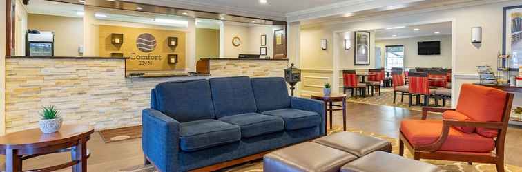 Lobi Comfort Inn Auburn - Worcester