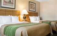 Bilik Tidur 6 Comfort Inn Jamestown