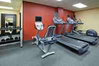 Fitness Center Hampton Inn Rochester-South