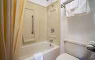 In-room Bathroom 4 Days Inn by Wyndham Clinton