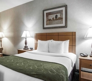 ห้องนอน 6 Comfort Suites Peoria I-74