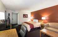 Kamar Tidur 6 Red Roof Inn Williamsport, PA