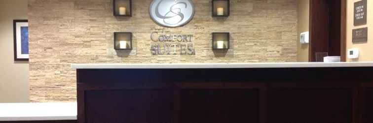 Lobi Comfort Suites Youngstown North