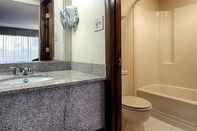 In-room Bathroom Baymont by Wyndham Lynchburg