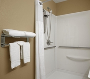 In-room Bathroom 4 Microtel Inn By Wyndham Mineral Wells/Parkersburg