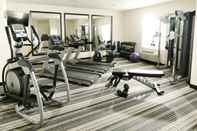 Fitness Center Sonesta Simply Suites Detroit Ann Arbor