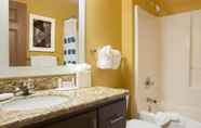 In-room Bathroom 5 TownePlace Suites by Marriott Indianapolis Park 100