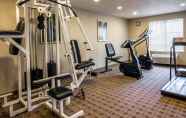 Fitness Center 3 Comfort Inn & Suites Love Field - Dallas Market Center