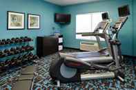 Fitness Center Fairfield Inn by Marriott Frankenmuth