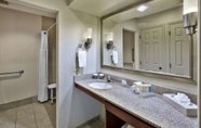 In-room Bathroom 7 Homewood Suites by Hilton Dayton-Fairborn (Wright Patterson)