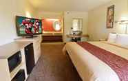 Bilik Tidur 6 Red Roof Inn Dayton - Fairborn/ Nutter Center