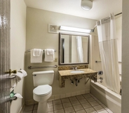 In-room Bathroom 4 Quality Inn