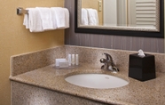 In-room Bathroom 4 Courtyard by Marriott Memphis Airport