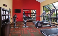 Fitness Center 7 Courtyard by Marriott Memphis Airport