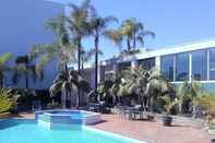 Swimming Pool Palm Court Motor Inn