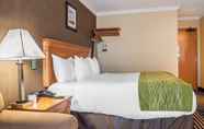 Bedroom 6 Comfort Inn Brockville