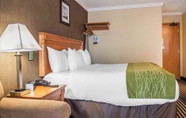 Bilik Tidur 6 Comfort Inn Brockville