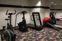 Fitness Center Royal Inn and Suites