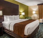 Bilik Tidur 5 Best Western Oglesby Inn