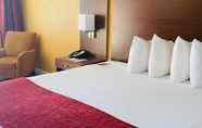 Kamar Tidur 5 Ramada by Wyndham Tampa Westshore