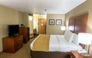 Bedroom 2 Comfort Inn & Suites Springfield I-44