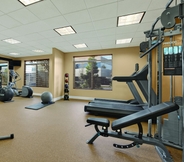 Fitness Center 5 Hilton Garden Inn San Francisco Arpt North