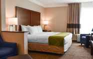 ห้องนอน 6 Comfort Suites Downtown Carlisle