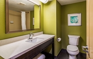 In-room Bathroom 5 Best Western Plus Sanford Airport/Lake Mary Hotel