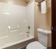 In-room Bathroom 4 Super 8 by Wyndham Big Rapids