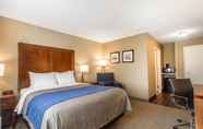Bedroom 5 Comfort Inn & Suites Rocklin - Roseville