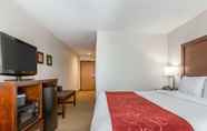 Bedroom 5 Comfort Suites Downtown Sacramento