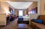 Bilik Tidur 7 Comfort Suites Rochester Henrietta University Area