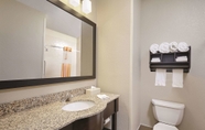 In-room Bathroom 3 La Quinta Inn & Suites by Wyndham South Bend