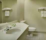 In-room Bathroom 7 Lakeview Inns & Suites - Brandon