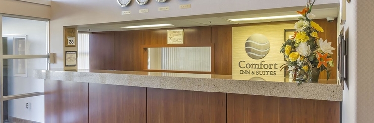 Lobby Comfort Inn & Suites