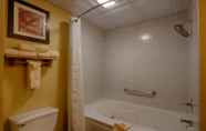 In-room Bathroom 3 Best Western Edinburgh/Columbus