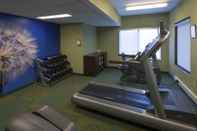 Fitness Center Springhill Suites By Marriott Bolingbrook